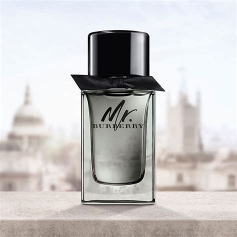 Mr. Burberry 博柏利先生男士香水 100ml 